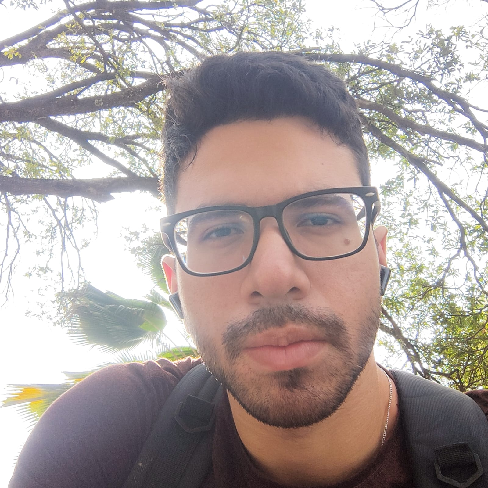 RAFAEL AVILAR