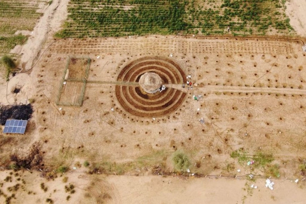 Jardins circulares senegaleses podem conter o avanço do Saara