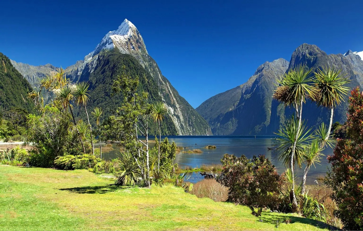 Nova Zelândia é eleita o melhor lugar do mundo para sobreviver a um colapso global