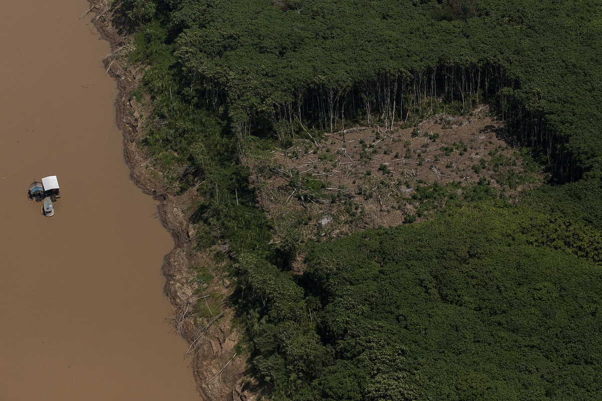 Plataforma digital vai medir cobertura vegetal no Brasil sob a ótica do novo Código Florestal