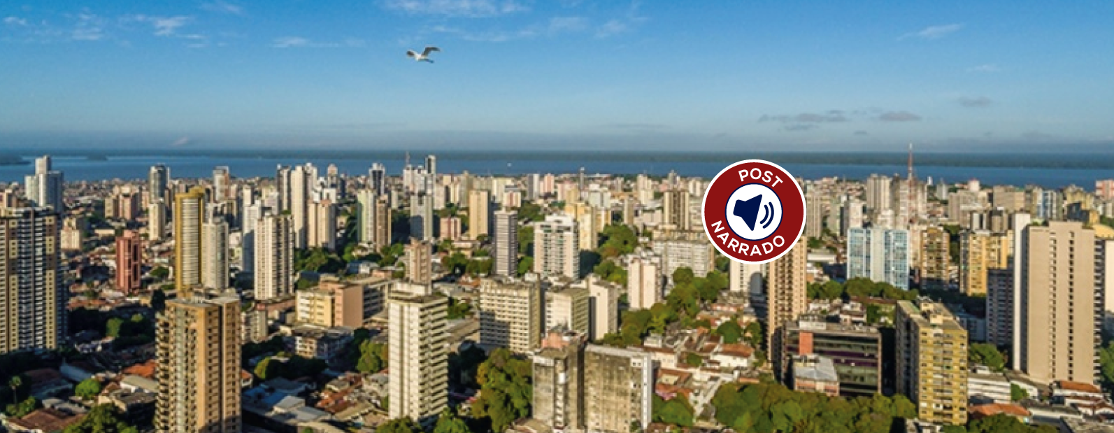 Qual o papel dos mercados na política urbana?