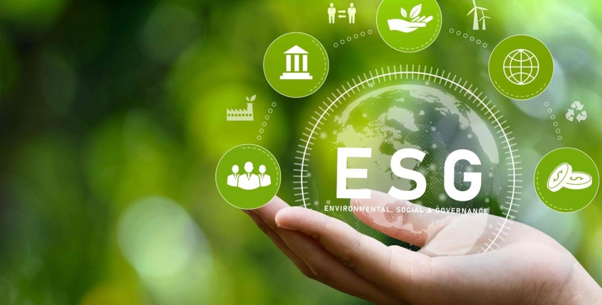 ESG: notas sobre o surgimento no plano internacional e nacional da proteção ambiental